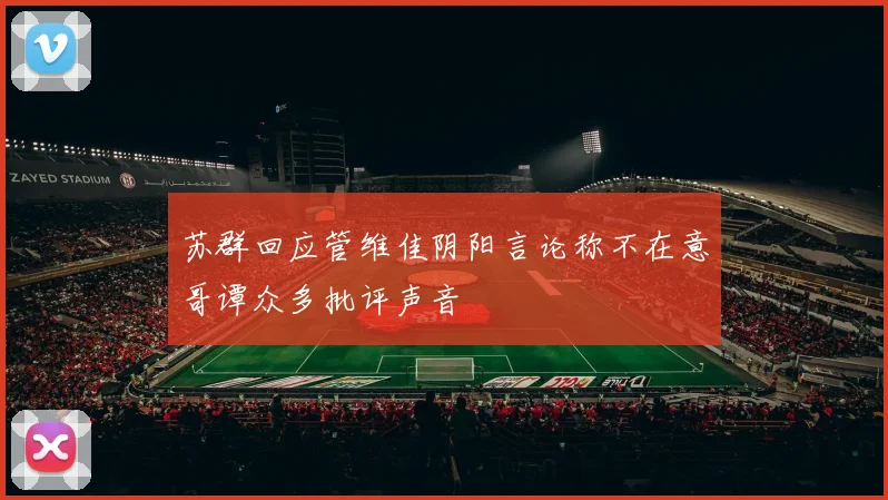 苏群回应管维佳阴阳言论称不在意哥谭众多批评声音